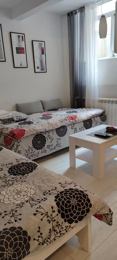 Studio Apartman Kocka Belgrad Zewnętrze zdjęcie